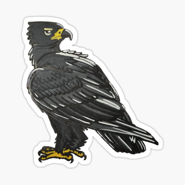 Item preview, Verreaux Eagle designed and sold by hollyholsworth.