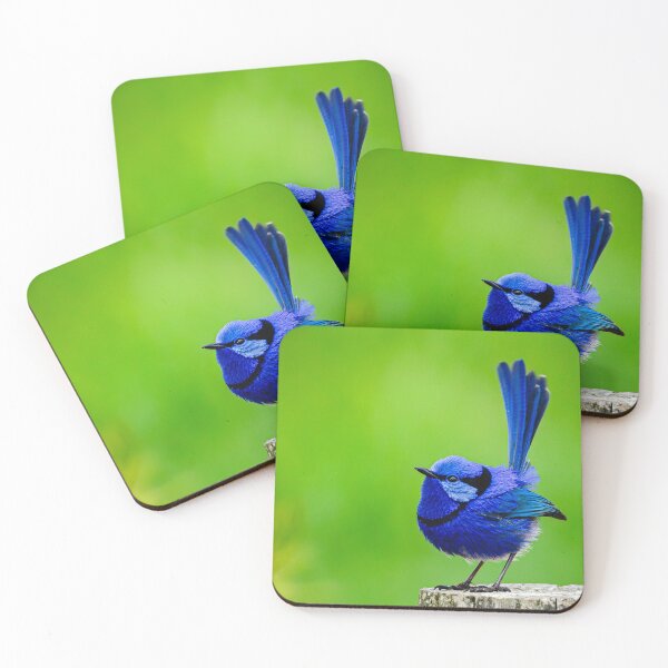 Item preview, Splendid fairywren  designed and sold by Mslphotography.