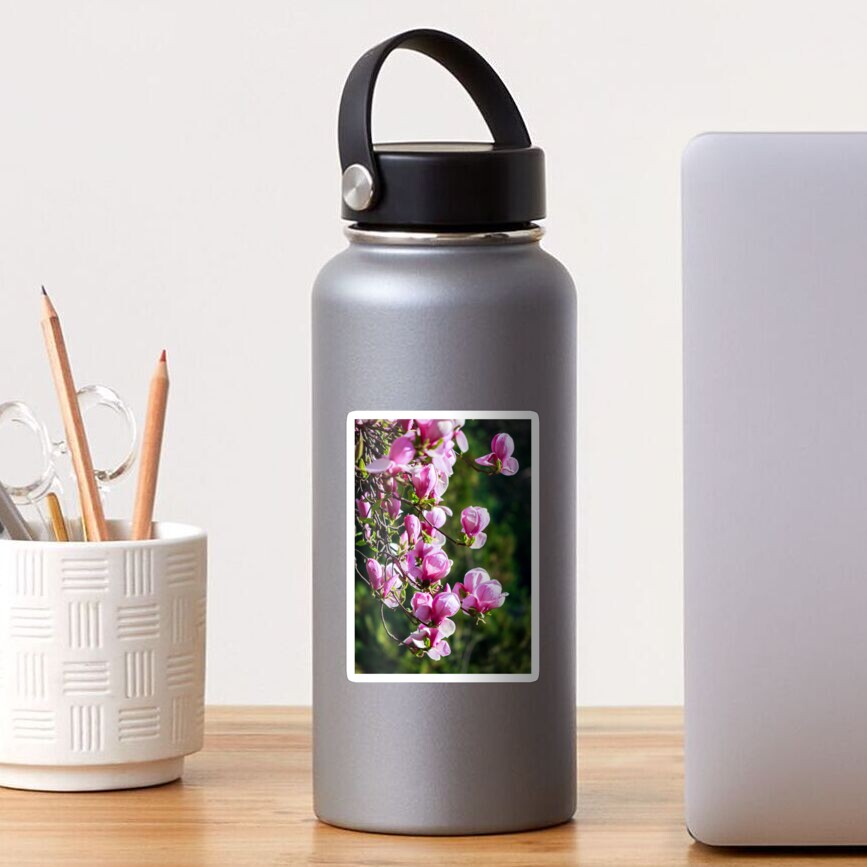 gorgeous magnolia flowers on a dark background Sticker