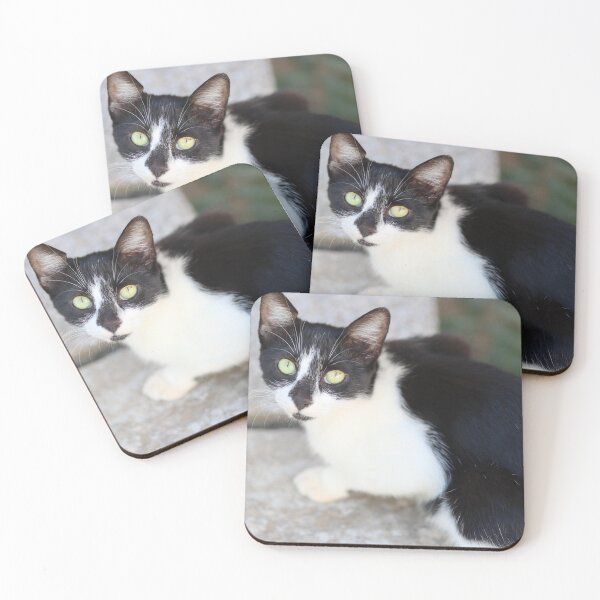 Item preview, Black and white cat designed and sold by myequineartwork.
