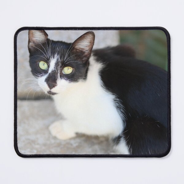 Item preview, Black and white cat designed and sold by myequineartwork.