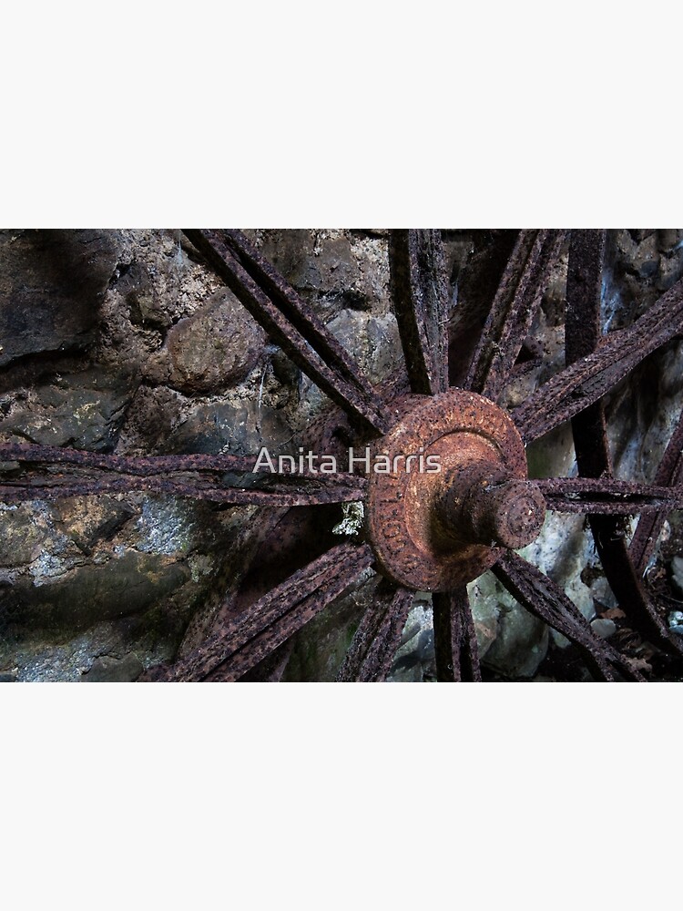 Wheel by plasticflower