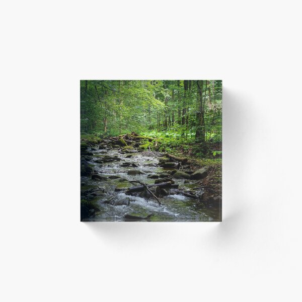 wild brook in the dark forest Acrylic Block