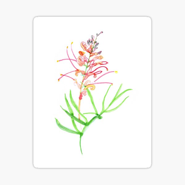 Item preview, Pink Grevillea designed and sold by Katy Tuesday .