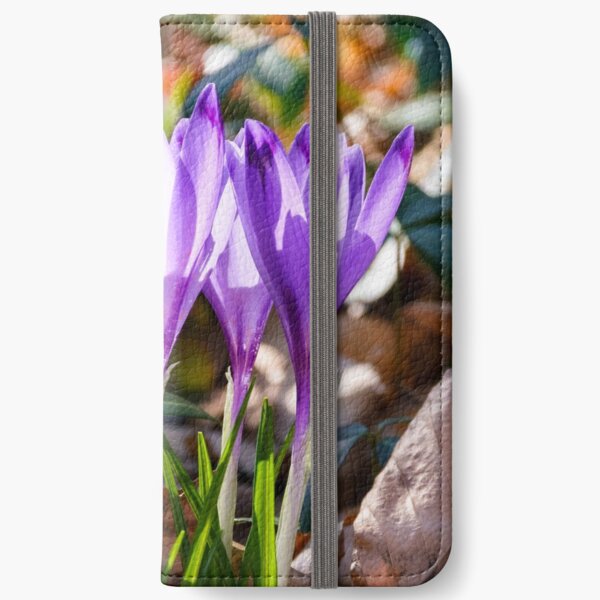 purple crocus flowers in forest iPhone Wallet