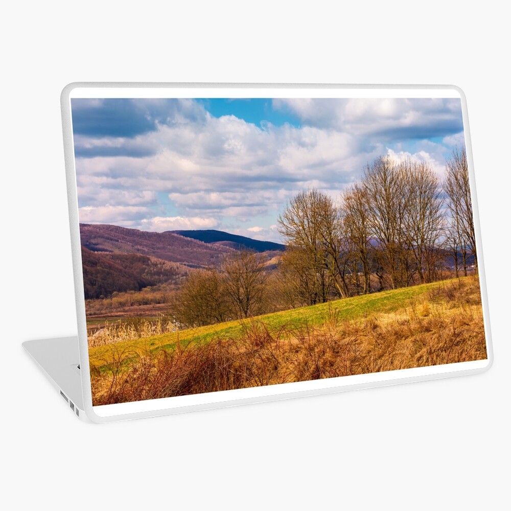Item preview, Laptop Skin designed and sold by mike-pellinni.