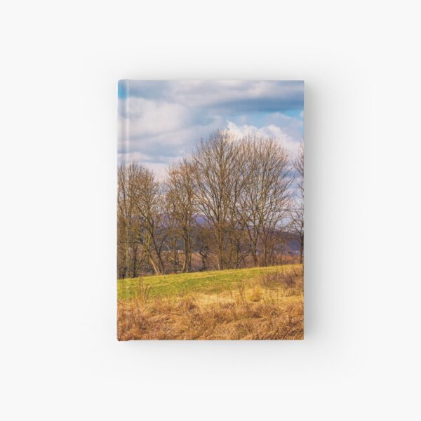 orchard in mountainous rural area Hardcover Journal