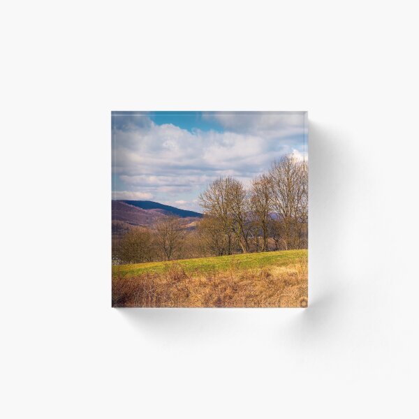 orchard in mountainous rural area Acrylic Block