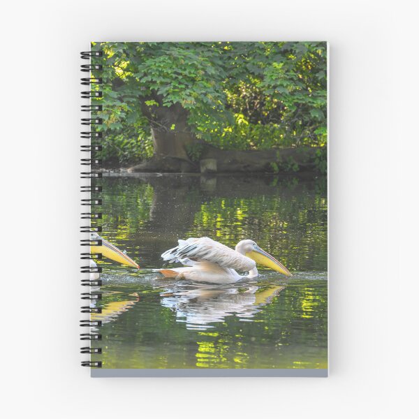 Item preview, UK. England. London. St James Park. Pelicans. designed and sold by vadim19.