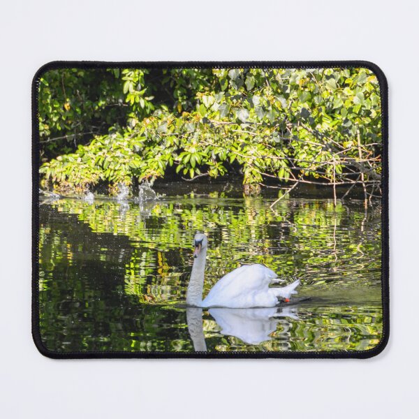 Item preview, UK. England. London. St James Park. White Swan. designed and sold by vadim19.
