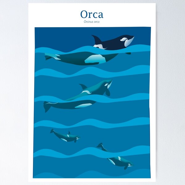 Item preview, Orca, illustration of orca mana. designed and sold by Tistarabis.