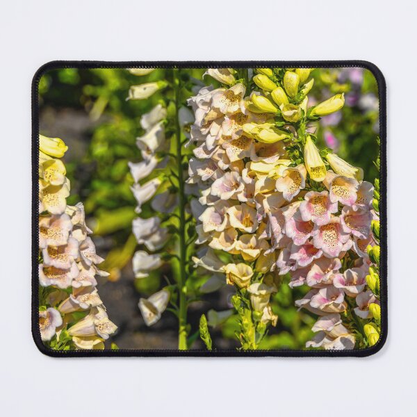 Item preview, UK. England. London. St James Park. Flowers. designed and sold by vadim19.
