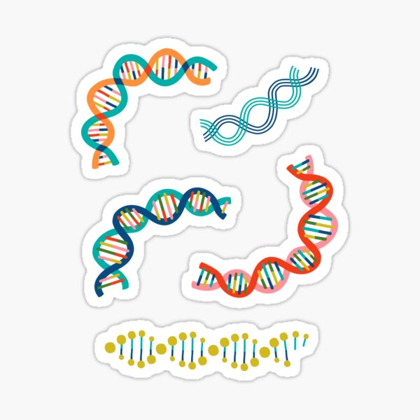 DNA Fun creme Sticker
