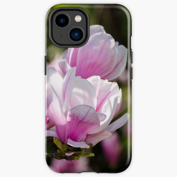 gorgeous magnolia flowers on a dark background iPhone Tough Case
