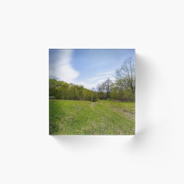 log on the grassy meadow among the forest Acrylic Block