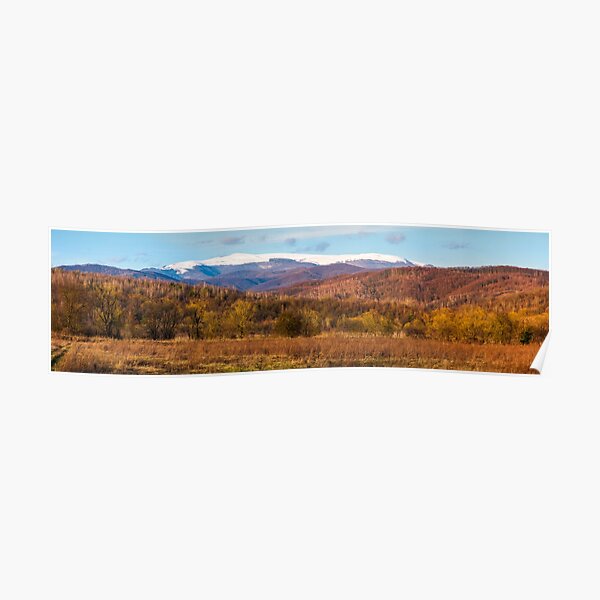 springtime countryside with snowy mountain Poster