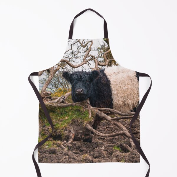 Item preview, Belted Galloway Cow Standing by Fallen Tree designed and sold by rawshutterbug.