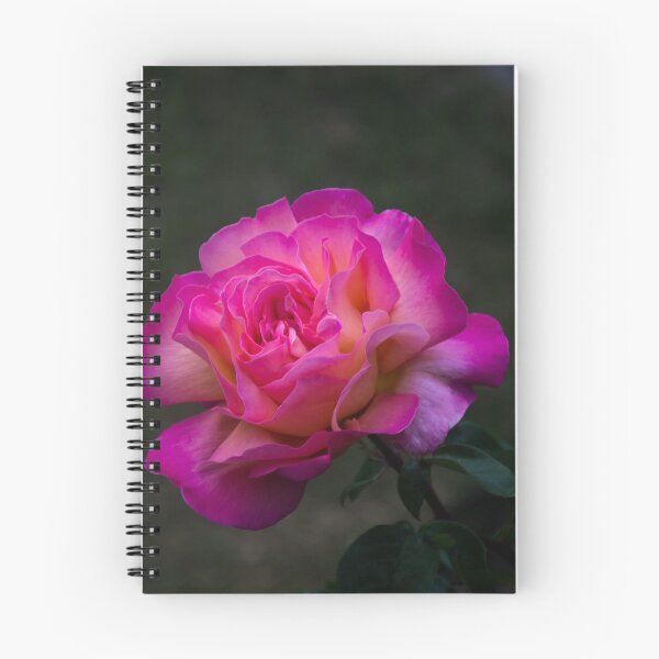 Item preview, Pink Rose designed and sold by clgcreativearts.