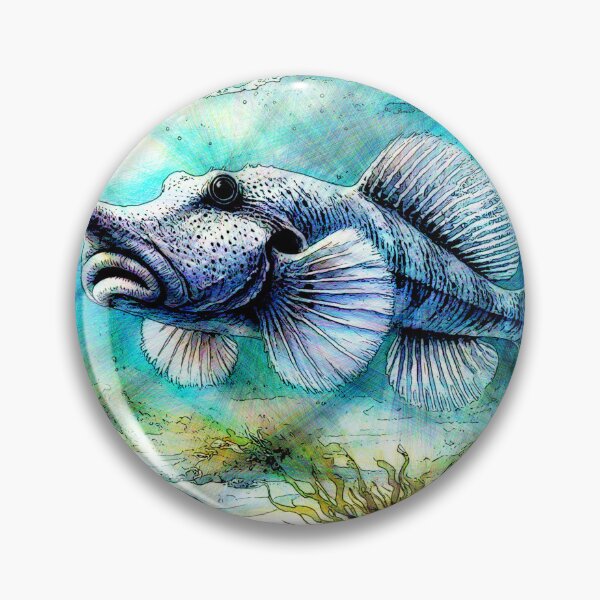 Item preview, Callorhinchus capensis (Cape elephantfish) designed and sold by Helios Be. Lavsh.