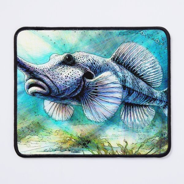 Item preview, Callorhinchus capensis (Cape elephantfish) designed and sold by Helios Be. Lavsh.