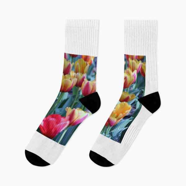 Item preview, Tequila Sunrise Tulips designed and sold by Cynthia48.