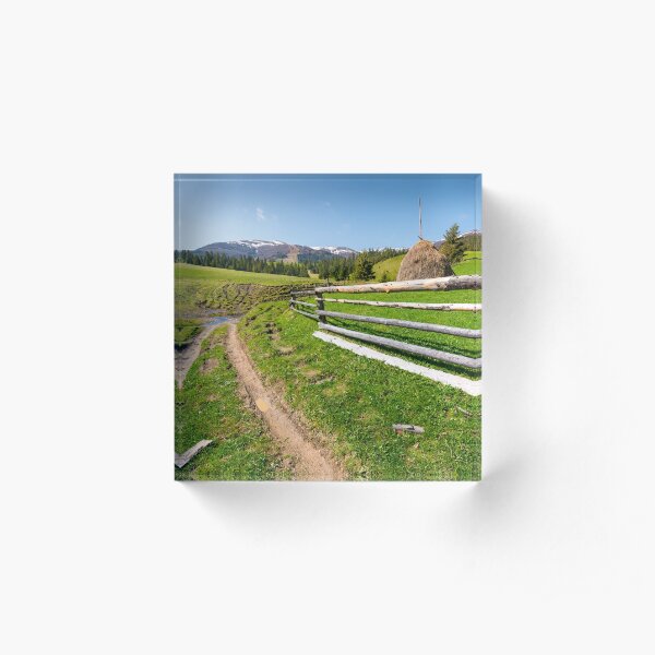 beautiful Carpathian countryside in springtime Acrylic Block