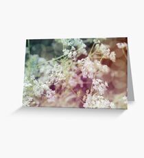 Umbelliferous Greeting Card
