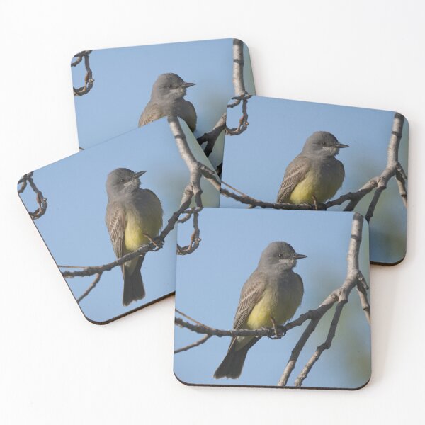Item preview, Cassin's Kingbird designed and sold by EnglandEcology.