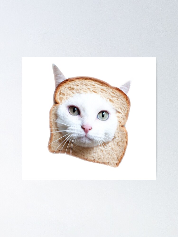 bread kitty