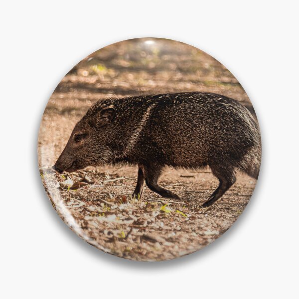 Item preview, Javelina aka Collared Peccary designed and sold by Debra Martz.