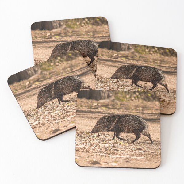 Item preview, Javelina aka Collared Peccary designed and sold by Debra Martz.