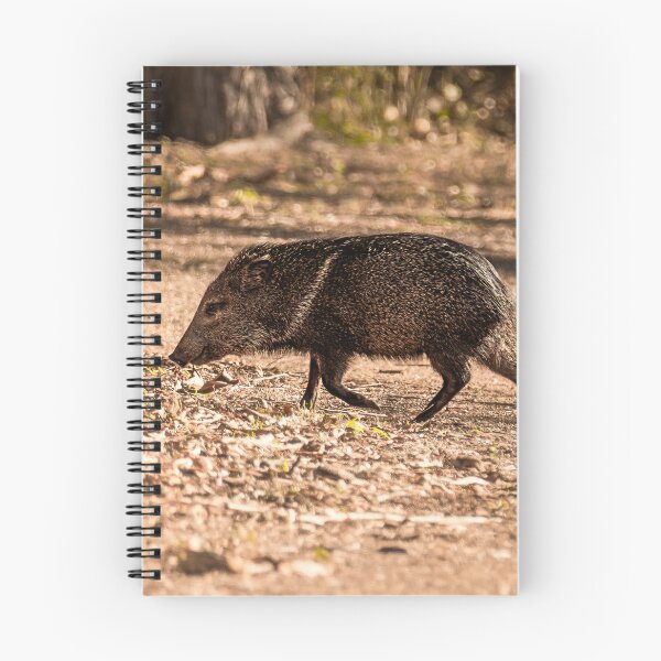 Item preview, Javelina aka Collared Peccary designed and sold by Debra Martz.