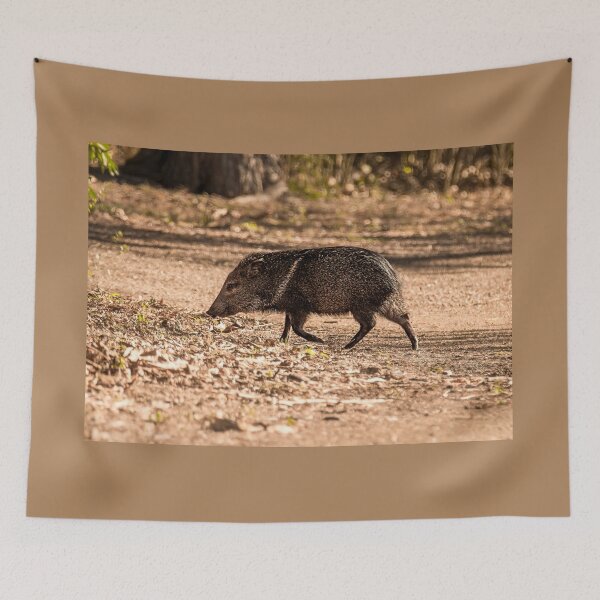 Item preview, Javelina aka Collared Peccary designed and sold by Debra Martz.