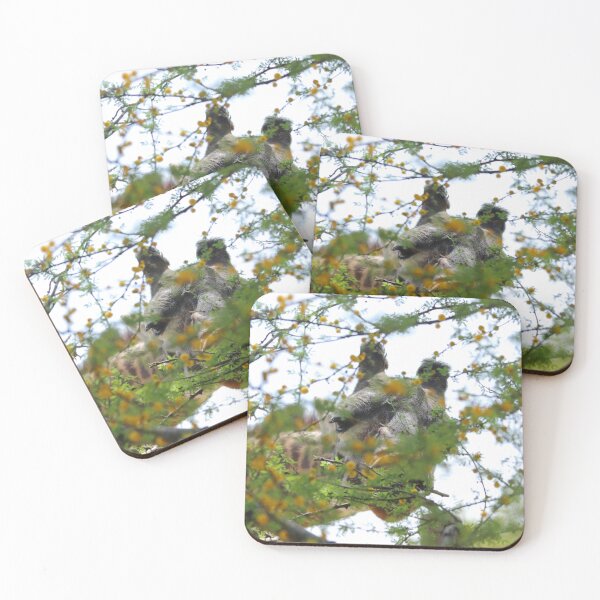 Item preview, Midmorning snack designed and sold by Olivia Plasencia.
