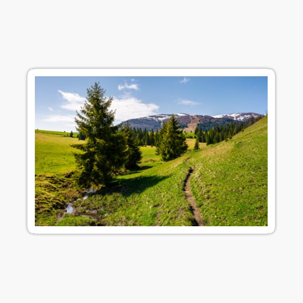 narrow footpath along the forested hills Sticker