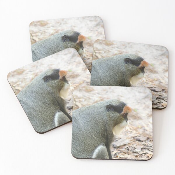 Item preview, Profile designed and sold by Olivia Plasencia.
