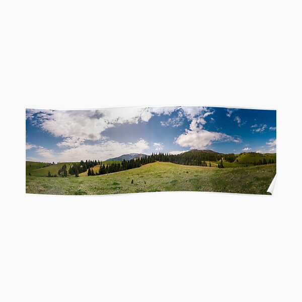 beautiful panorama of mountainous area in spring Poster