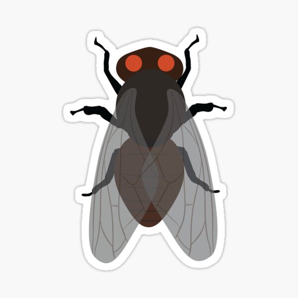 Item preview, Fly | The Humble but Resilient Insect designed and sold by KiValuate.