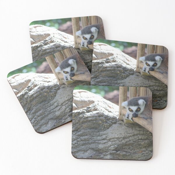Item preview, The Littlest Lemur designed and sold by Olivia Plasencia.