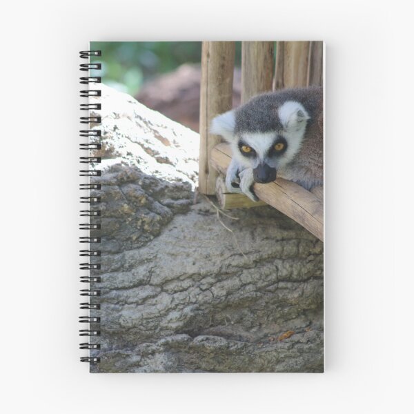Item preview, The Littlest Lemur designed and sold by Olivia Plasencia.