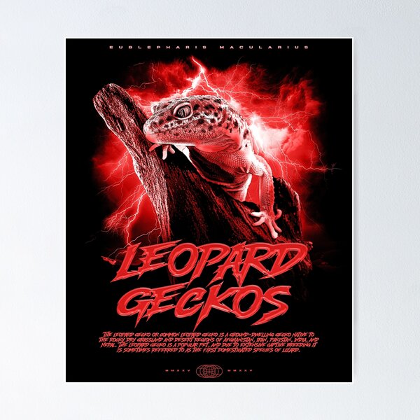 Item preview, Leopard Gecko Modern Streetwear Reptile Keeper designed and sold by JRRTs.
