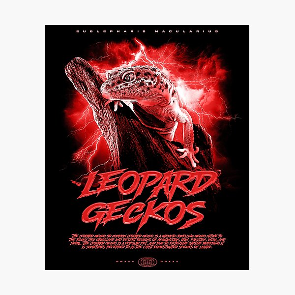 Item preview, Leopard Gecko Modern Streetwear Reptile Keeper designed and sold by JRRTs.
