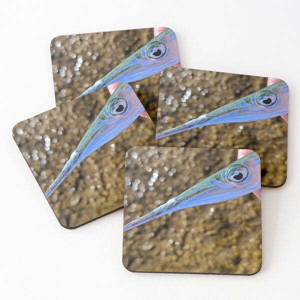 Item preview, Pez aguja capturado y devuelto al mar Adriático designed and sold by mary02.