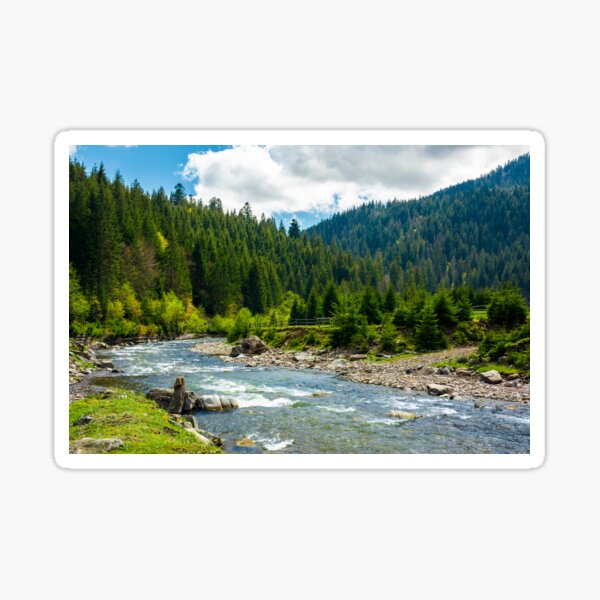 mountain river among the spruce forest Sticker