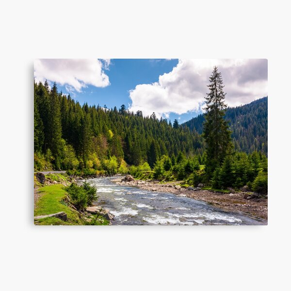 beautiful landscape with forest river in mountains Canvas Print