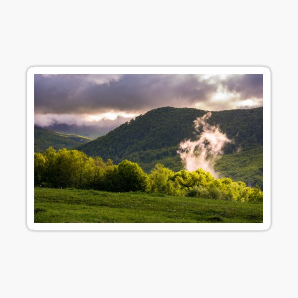 fog rising above the forest on hillside Sticker