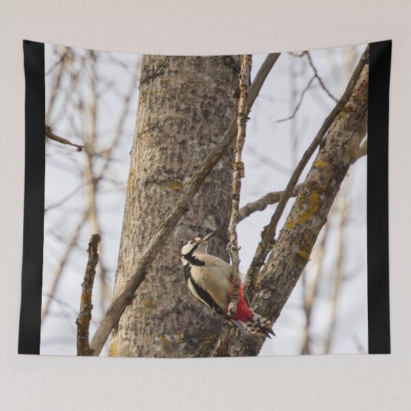 Item preview, Hanging around. Great spotted woodpecker designed and sold by Jouko Lehto Photography.