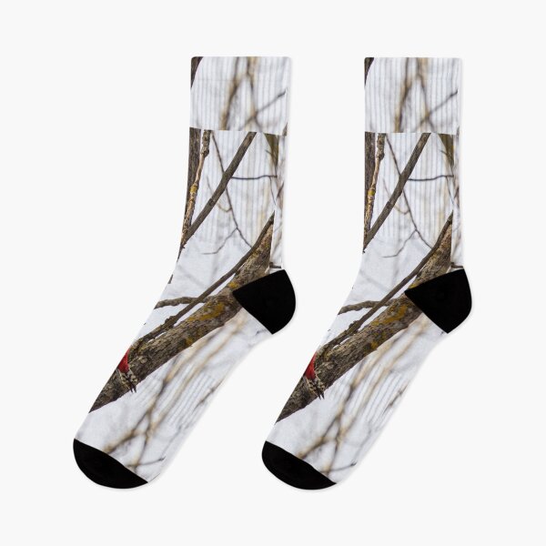 Item preview, Hanging around. Great spotted woodpecker designed and sold by Jouko Lehto Photography.