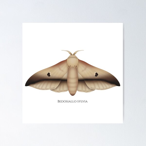Item preview, Bedosiallo sylvia moth designed and sold by swiatek.