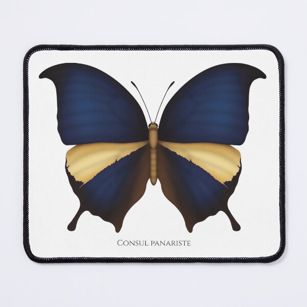 Item preview, Tricolored Leafwing butterfly designed and sold by swiatek.